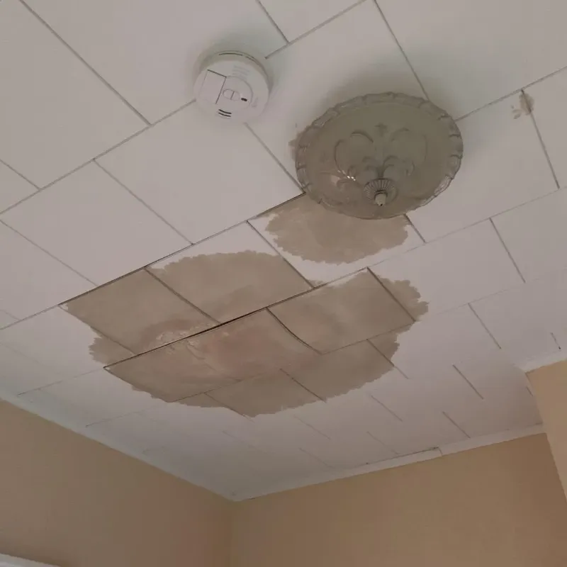 Ceiling Water Damage Repair in Menomonee Falls, WI