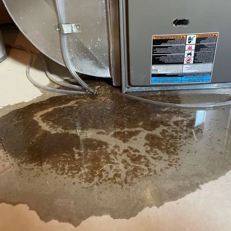 Pipe Burst and Leak Restoration in Menomonee Falls, WI